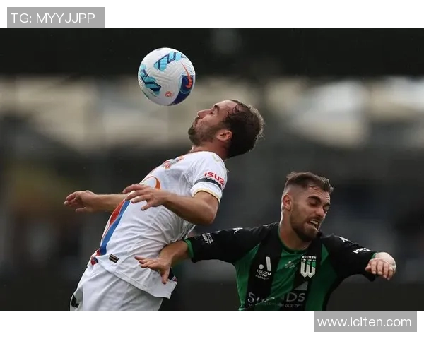 纽卡飞机事件引发墨尔本审理影响国际航空安全与法律争议